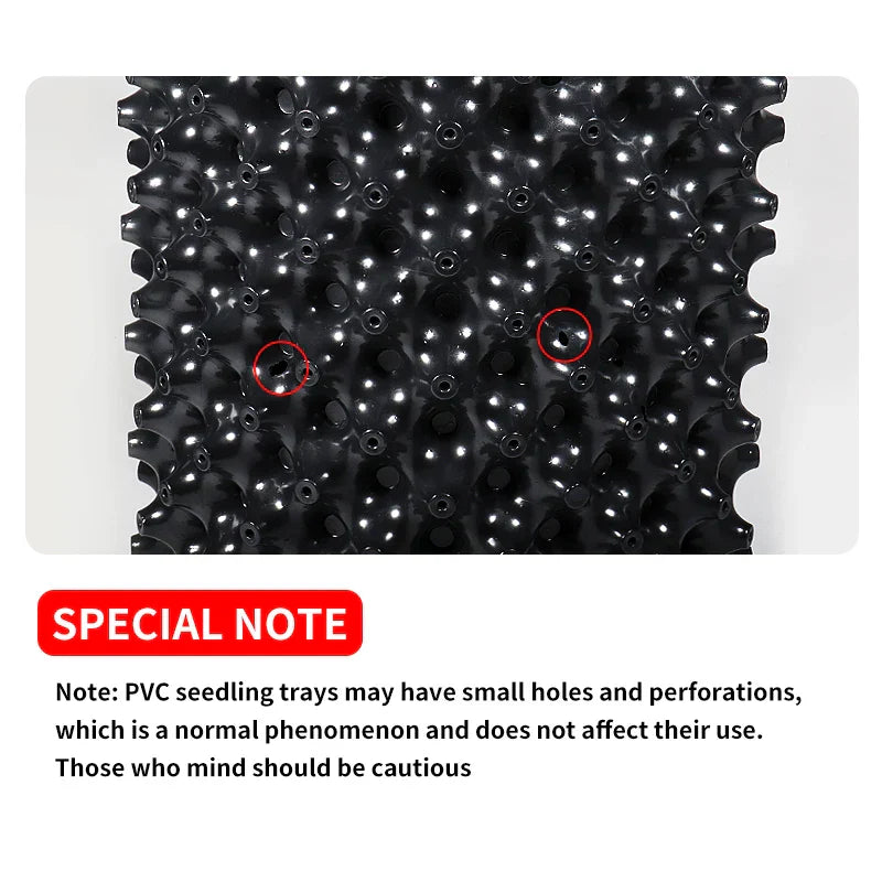 Carvallo Pro | Rotkontroll- & Uppdragskruka | För Bonsai, Träd & Buskar | Snabb rotväxt | PVC-skål Carvallo