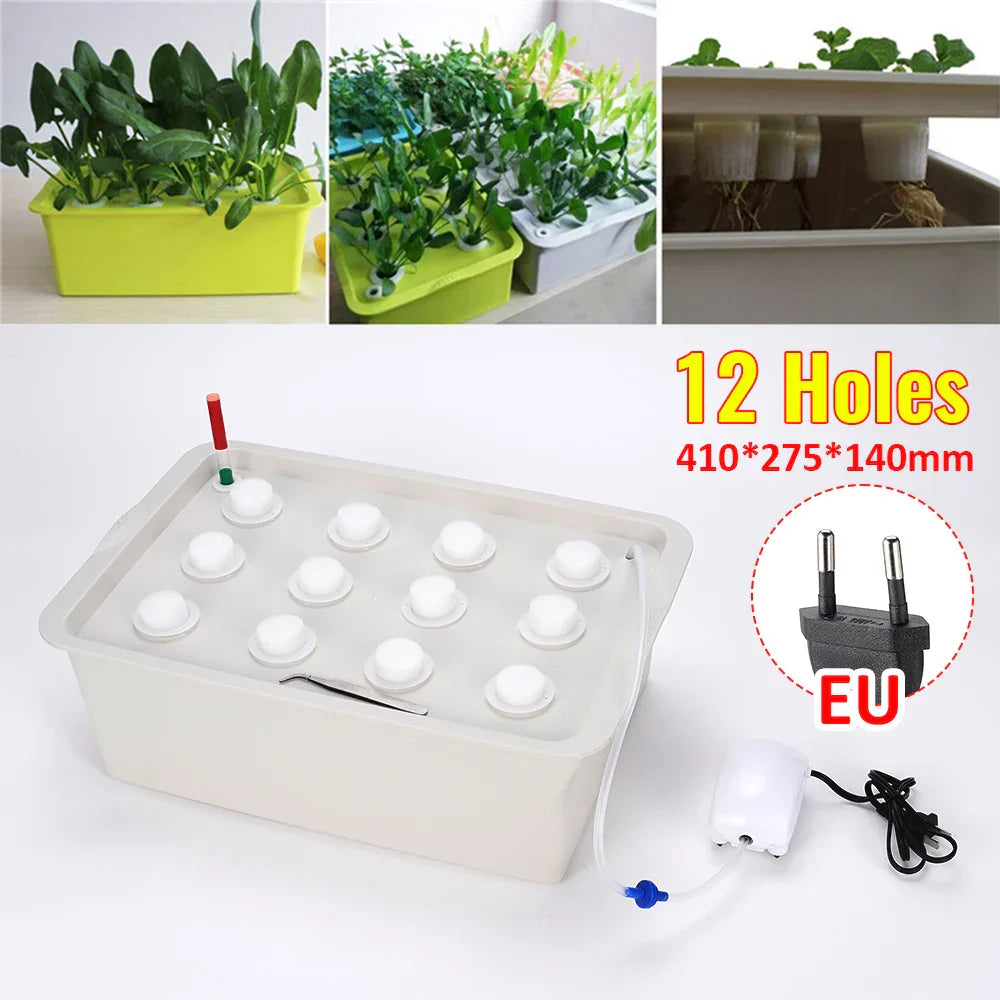 Carvallo Planter Set GrowPure 12 | 12-Chamber System with Pump | 220 V | For Herbs, Vegetables & Seedlings | 41×27,5×14 cm Carvallo