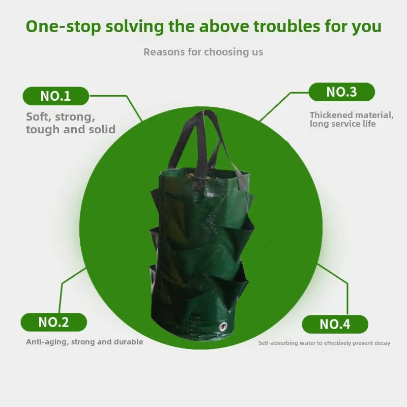 Carvallo Plantpåse Grönsaker & Jordgubbar | 3 Gallon PE Såpåse med fack | Återanvändbar & Vattentät Carvallo