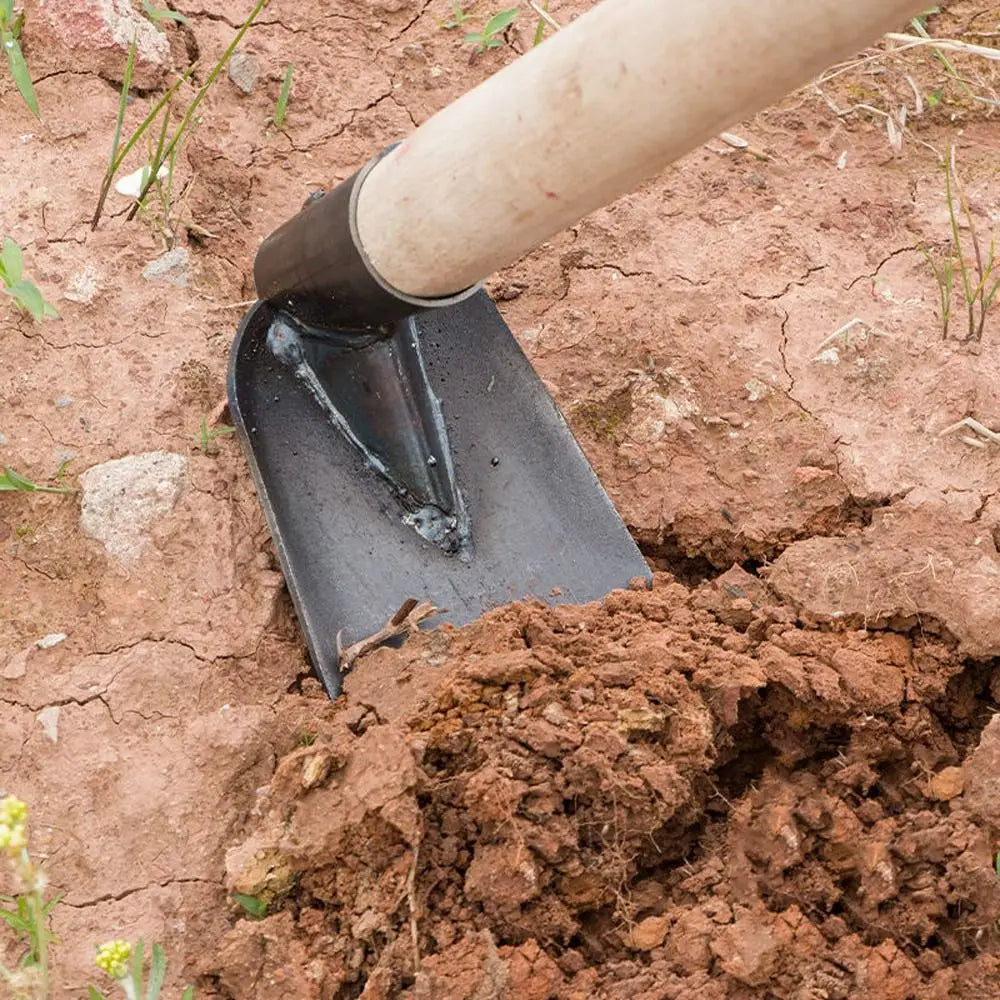 Carvallo Trädgårdshacka | Manganstål | Ogräsborttagare & Planteringshjälp | Robust & Multifunktionell Carvallo
