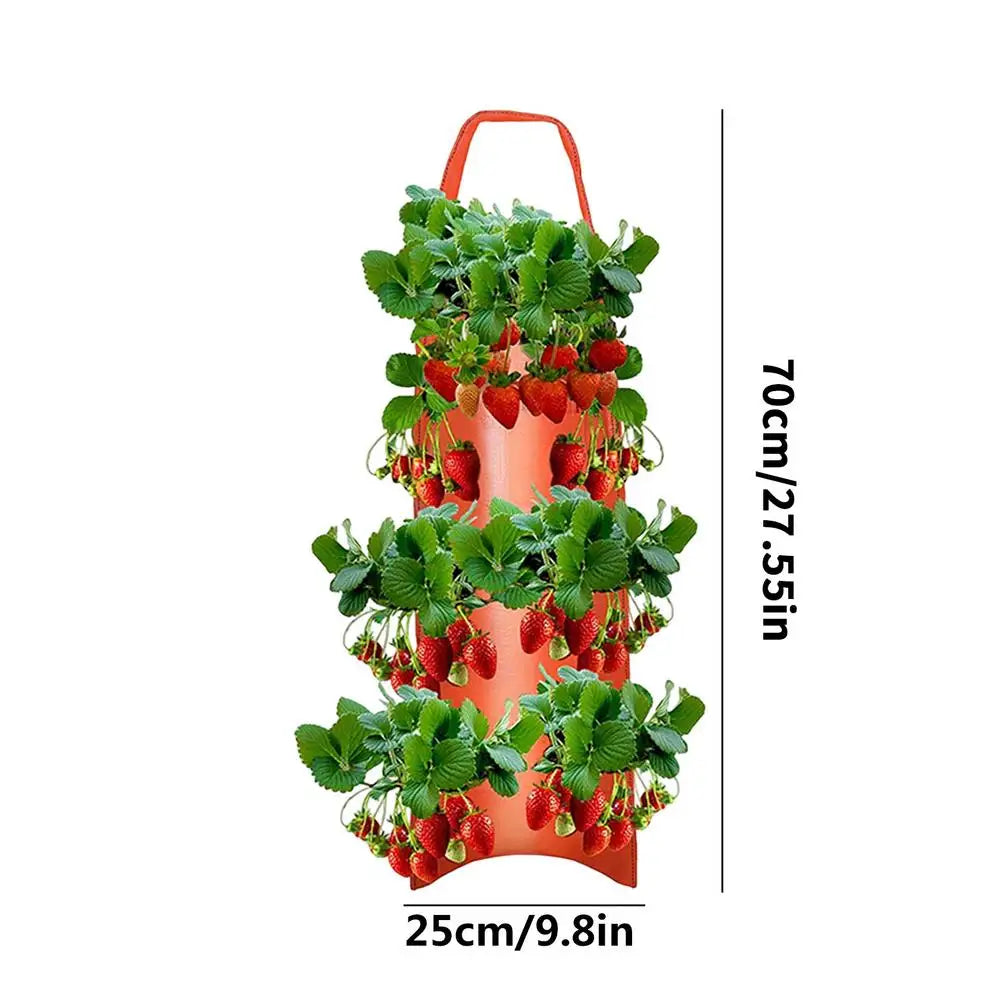 Carvallo Planter bag with 4/6/8/10 openings | Hanging & Breathable | For strawberries, tomatoes & herbs | Durable canvas fabric Carvallo