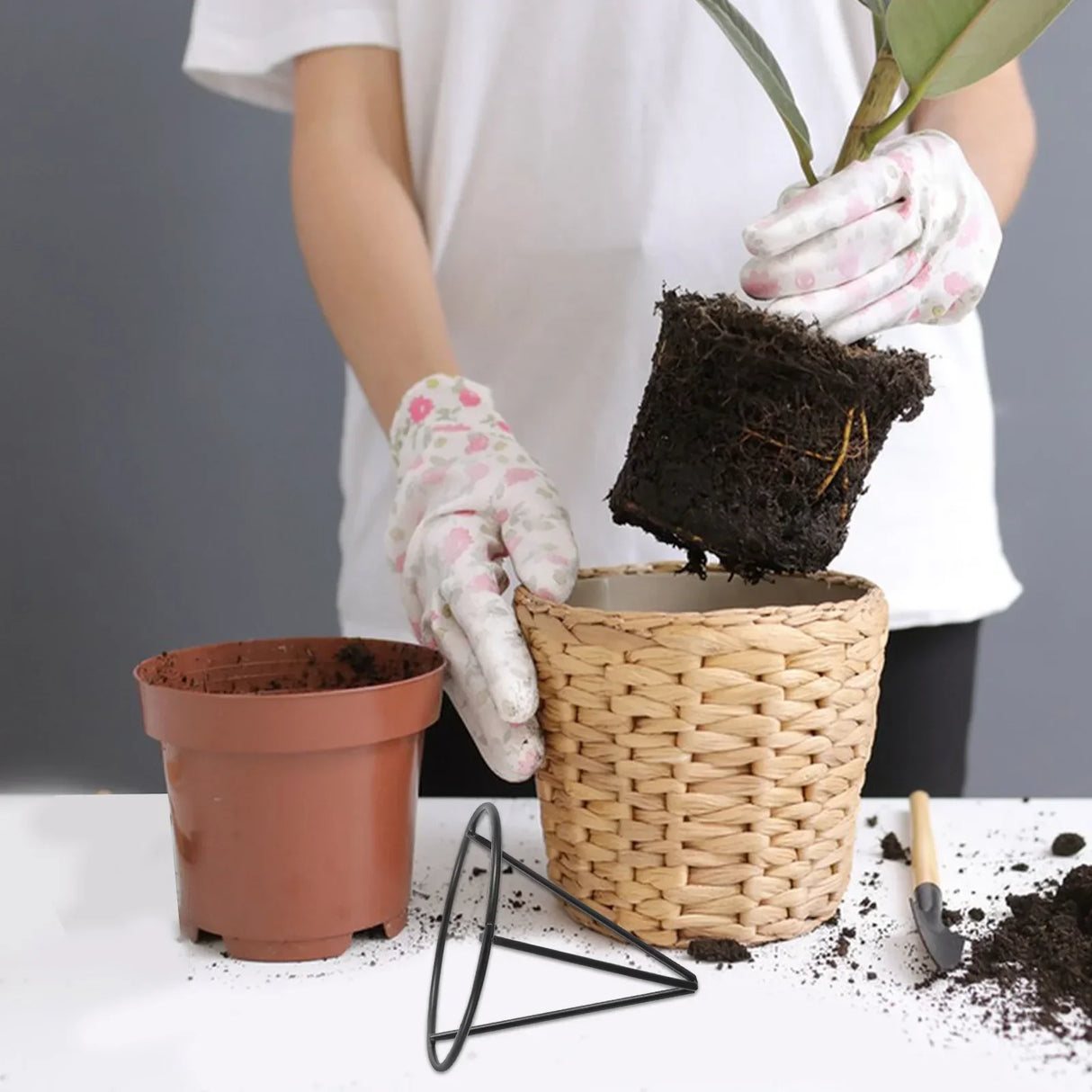 Carvallo 2-pack växtstativ i metall | Triangel-design med transparent hydrokulturskål | 8,5 × 8,5 × 7,5 cm | För hem & kontor Carvallo