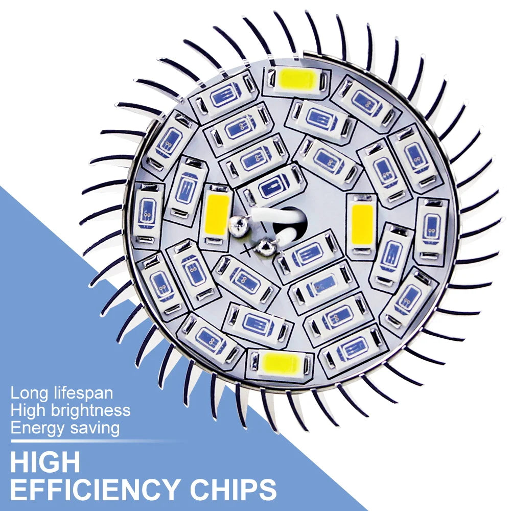 Carvallo PhytoLux | LED fullspektrum E27/E14 | För tillväxt & blomning | Aluminiumhus Carvallo