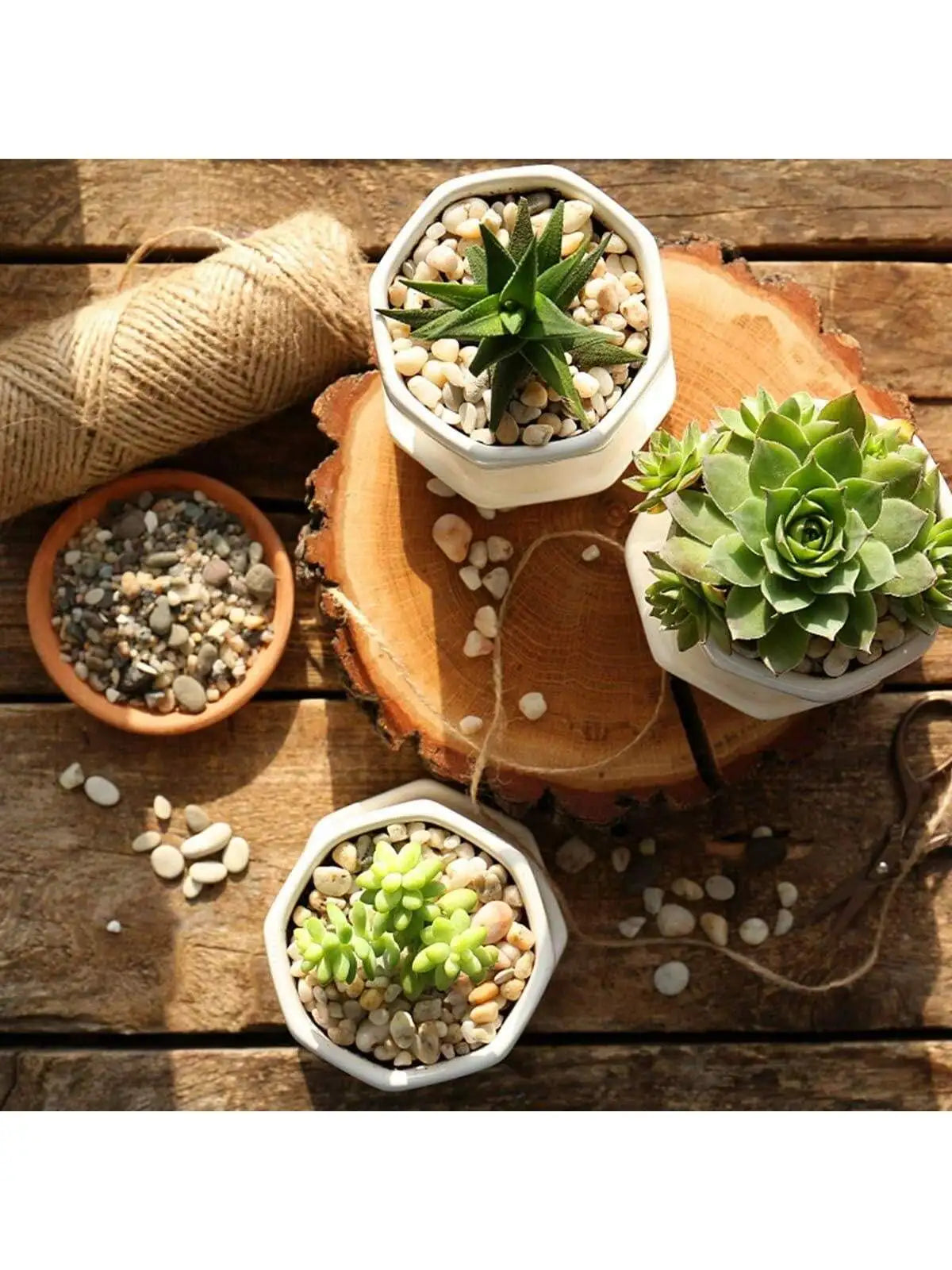 Carvallo ColorMix Dekorativa Natur-Kiselstenar i blandade färger | Smyckestenar för akvarium, trädgård och växtbehållare | Flodkisel för markbeläggning Carvallo