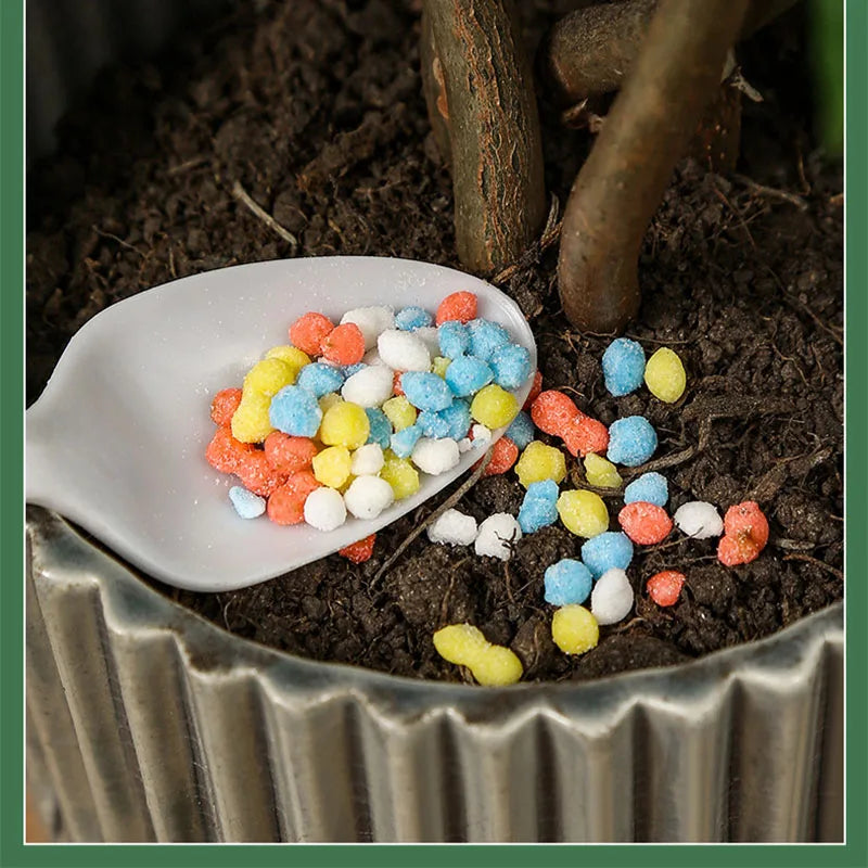 Carvallo Långtidsnäring för Krukväxter | Universalgödsel i Granulatform | NPK-formel med Kväve, Fosfor & Kalium Carvallo