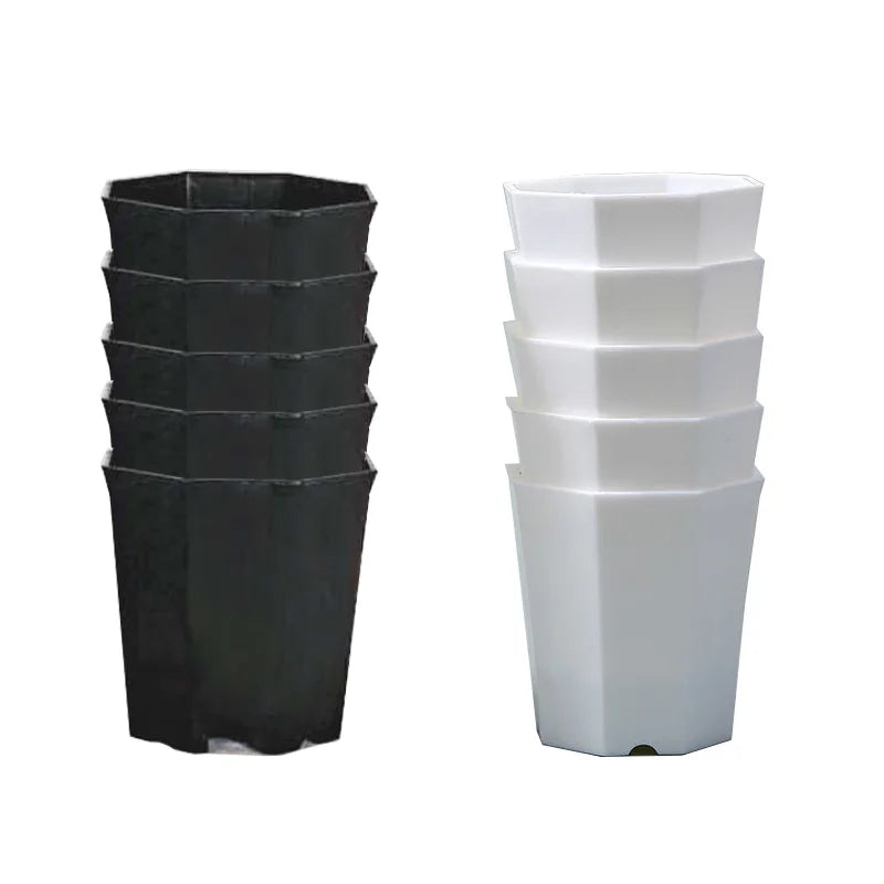 Carvallo Octa | 10-pack åttkantiga blomkrukor | Svart & Vit | Andningsbar | För suckulenter & sticklingar | Ø 8 cm Carvallo