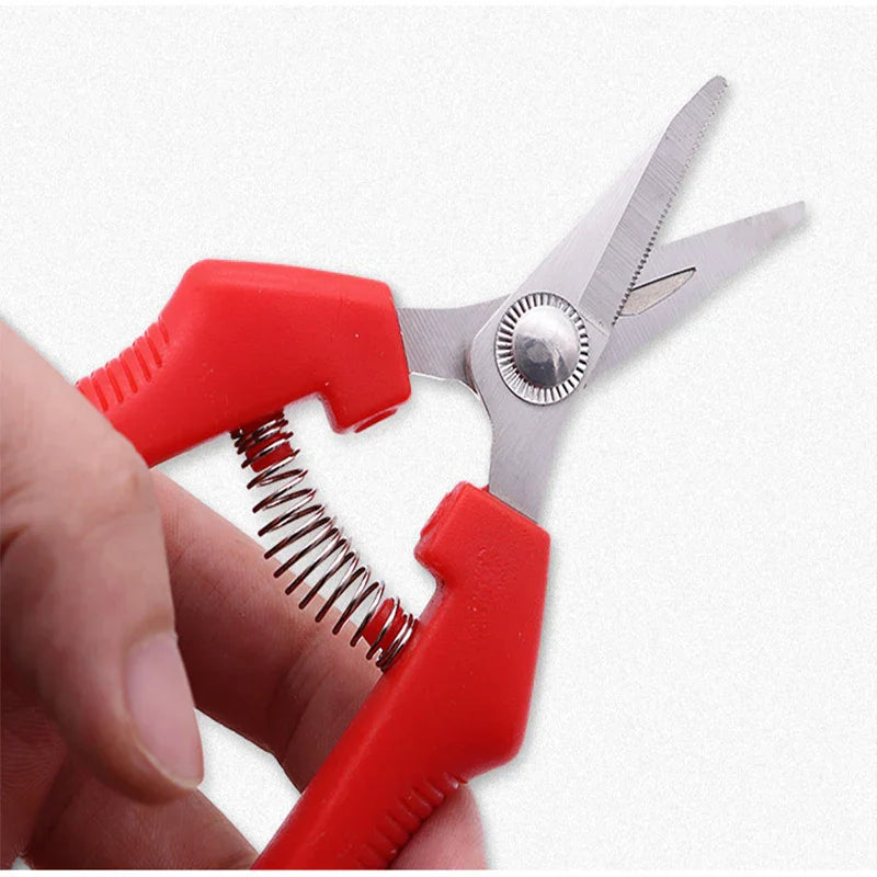 Carvallo Gräsklippare | Precisa klippning för fruktträd & bonsai | Ergonomisk & Vass | För skörd & beskärning Carvallo