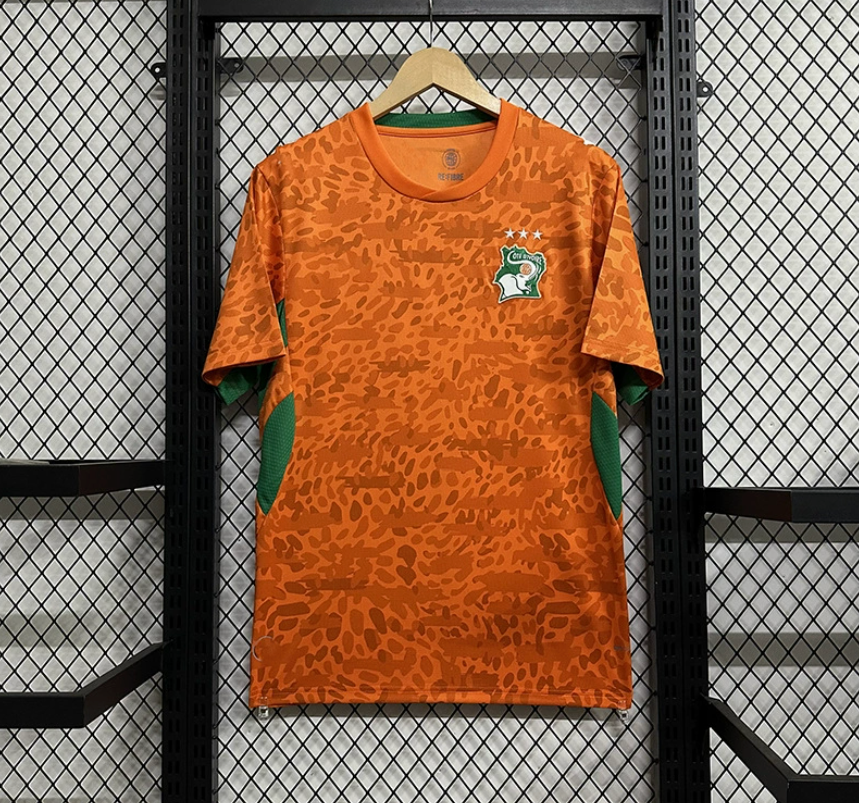 Elfenbenskusten Landslagströja 2026 Footballdinho