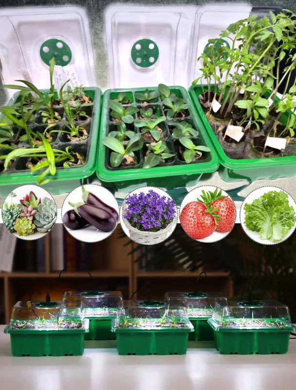 Inomhusväxthus med LED och luftcirkulation-VaruZ-Hemnix