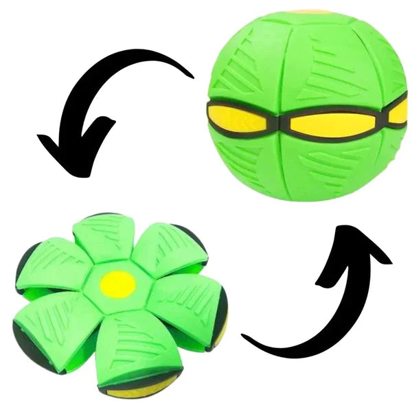 Pawelux Interaktiv Doggy Disc Boll - Säker, Studsig Hämta Leksak för Hundar Carvallo