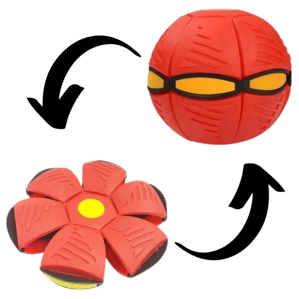 Pawelux Interaktiv Doggy Disc Boll - Säker, Studsig Hämta Leksak för Hundar Carvallo