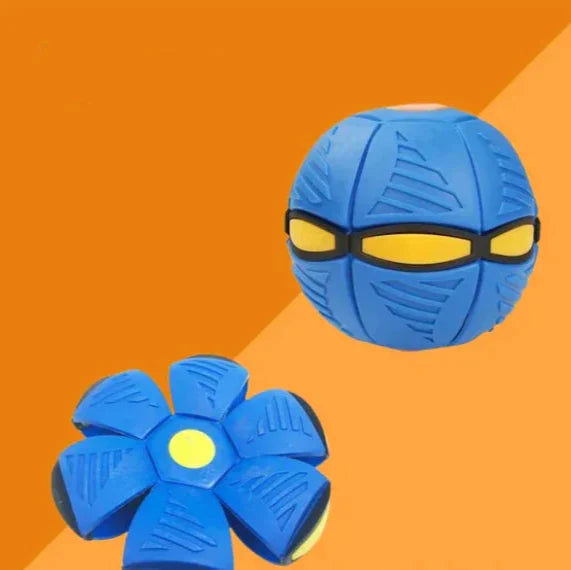 Pawelux Interaktiv Doggy Disc Boll - Säker, Studsig Hämta Leksak för Hundar Carvallo