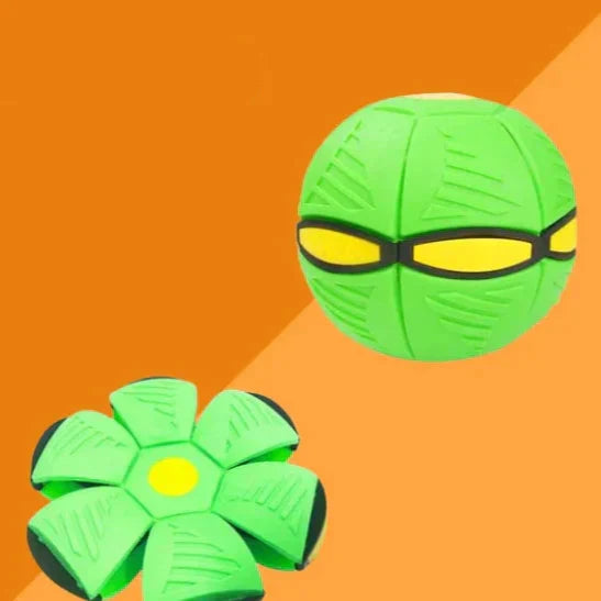 Pawelux Interaktiv Doggy Disc Boll - Säker, Studsig Hämta Leksak för Hundar Carvallo