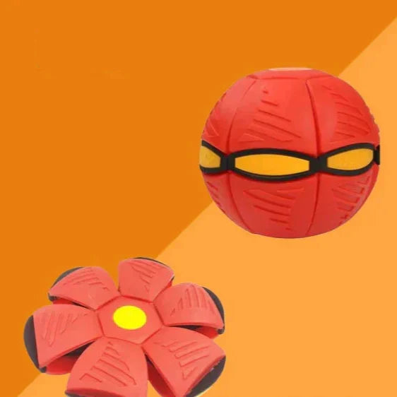 Pawelux Interaktiv Doggy Disc Boll - Säker, Studsig Hämta Leksak för Hundar Carvallo