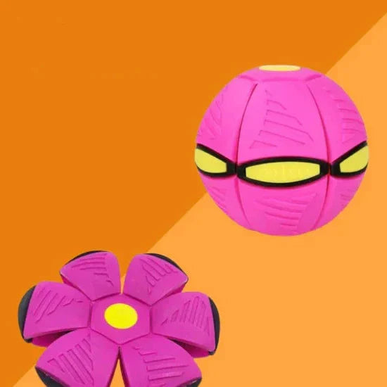 Pawelux Interaktiv Doggy Disc Boll - Säker, Studsig Hämta Leksak för Hundar Carvallo