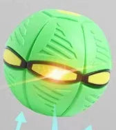 Pawelux Interaktiv Doggy Disc Boll - Säker, Studsig Hämta Leksak för Hundar Carvallo