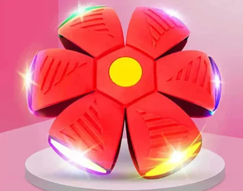 Pawelux Interaktiv Doggy Disc Boll - Säker, Studsig Hämta Leksak för Hundar Carvallo