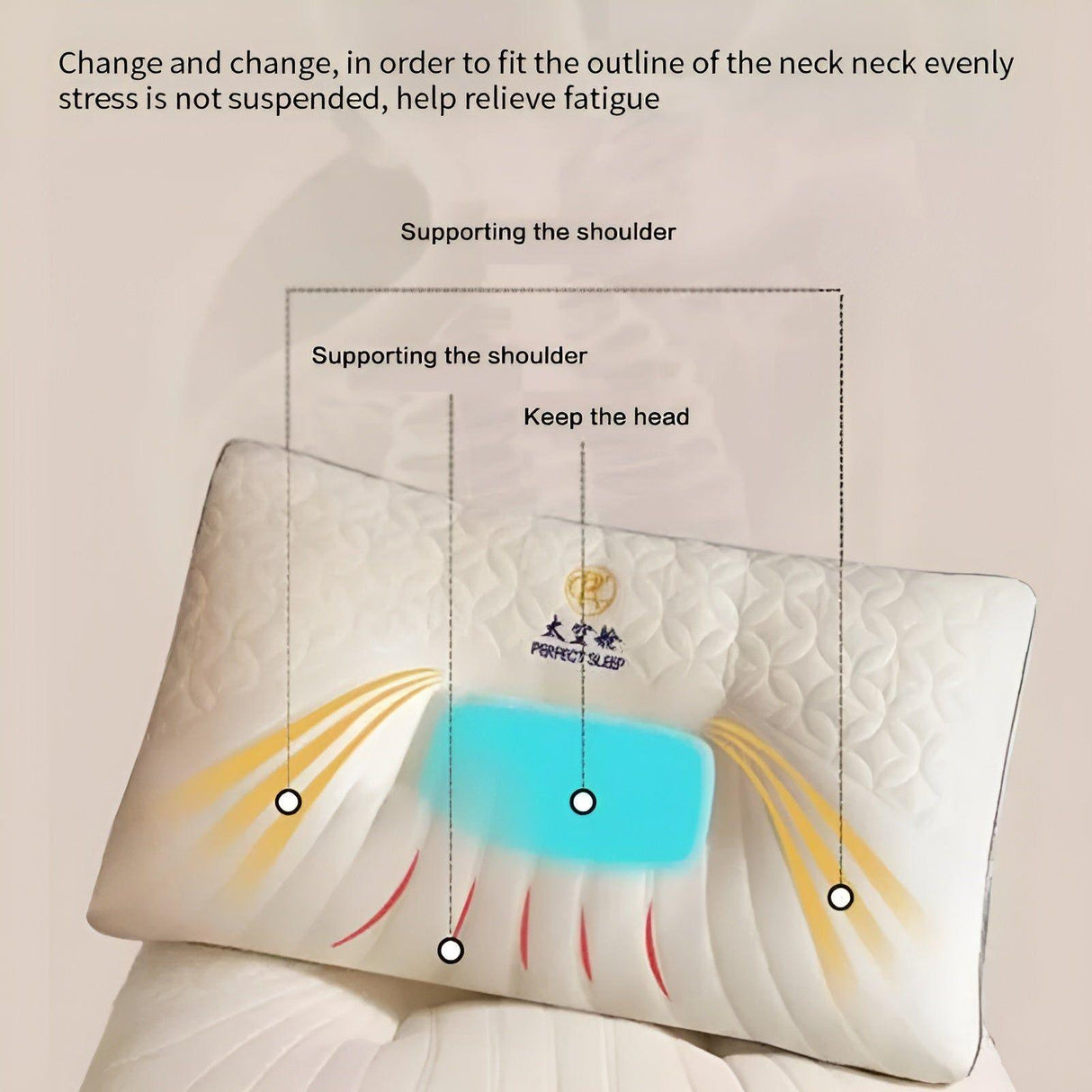 TheraRest Kudde - Ergonomisk Cervikal Premium Sova Kudde Carvallo