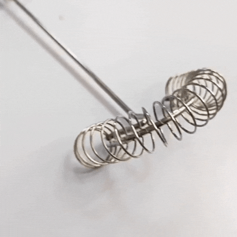 Royallure Rostfritt Stål Vårexpert Mini Vispa Mjölkskummare & Sås Mixer Carvallo