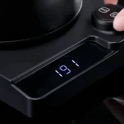 Royallure Elektrisk Gåsnackskanna med Temp Kontroll, Rostfritt Stål Kaffekanna Carvallo