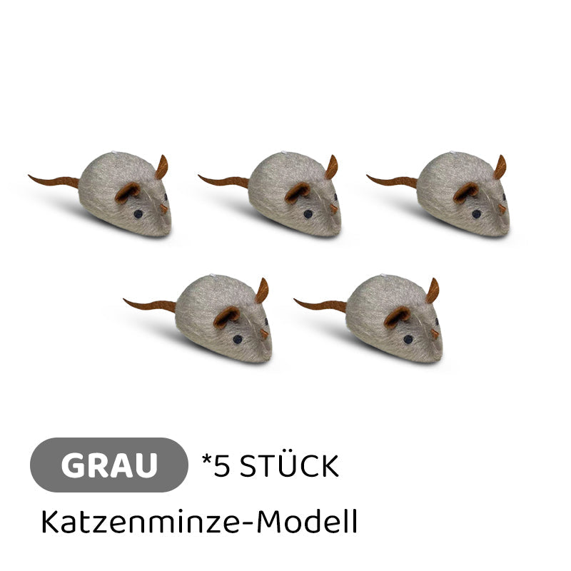 Carvallo | PawChase – Jaga, spela, jaga kul för din katt! Carvallo