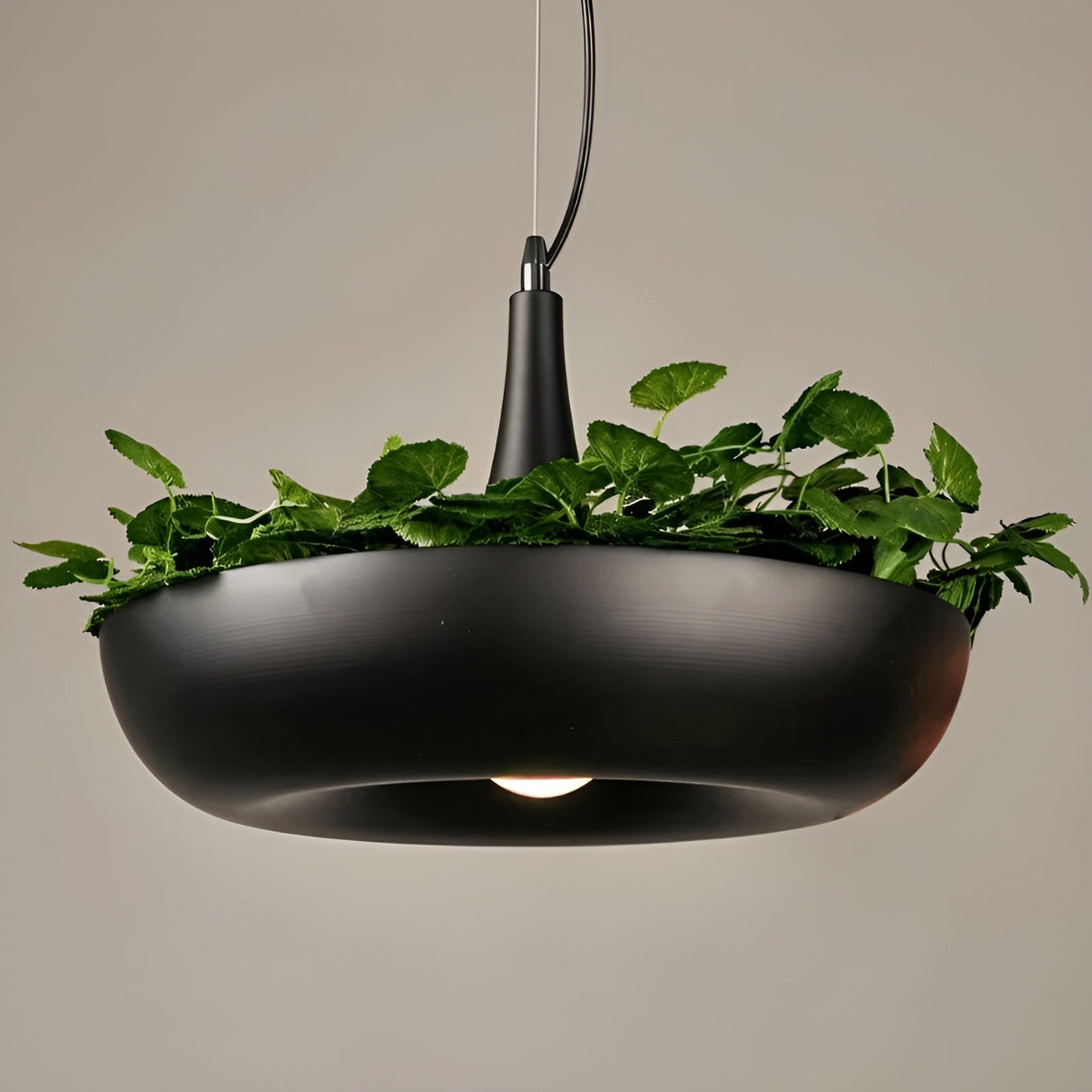 SkyGlow Light - Nordic Blomkruka Hänglampa Carvallo