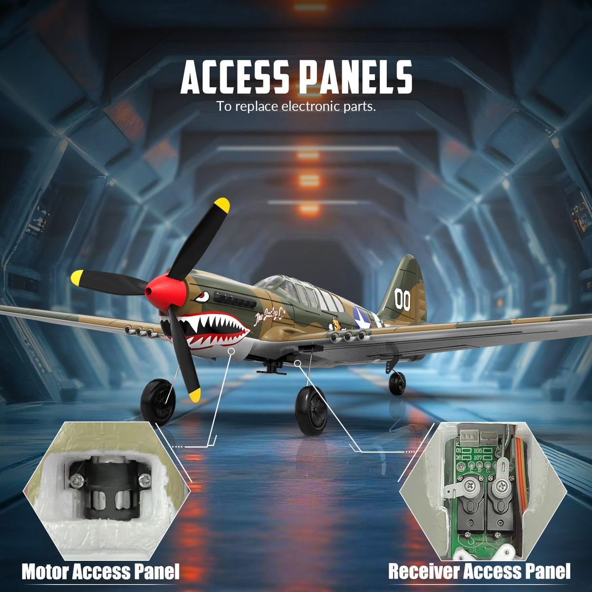 Fjärrstyrd flygplan med lätt stabiliserad flygning Carvallo