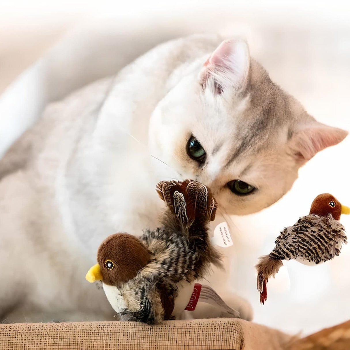 PurrPlay – Interaktiv plyschfågeleksak med realistisk design för engagerande kattlek Carvallo