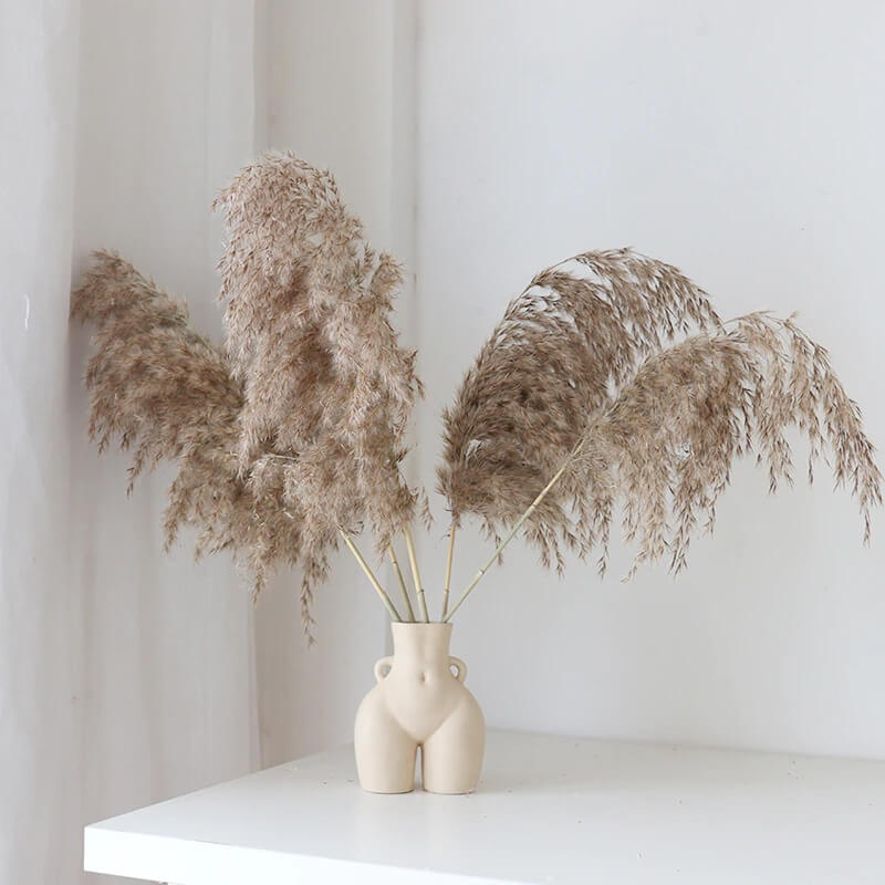 Keramisk Kropp Vasen | Skulptural Accent för Torra Blommor | Matt Finish | Kompakt 5,5" Uttalande Stycke Carvallo