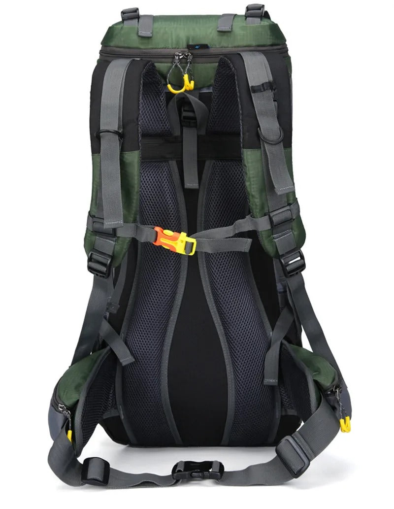 Carvallo Rucksack DryHike 60L | Vattentät & Robust | Ergonomiskt bärsystem | För vandring & camping Carvallo