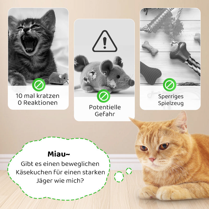 Carvallo | PawChase – Jaga, spela, jaga kul för din katt! Carvallo