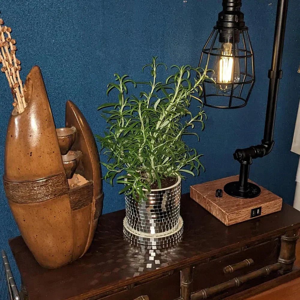 Keramisk Disco Spegelboll Planteringskruka med Dräneringshål Carvallo