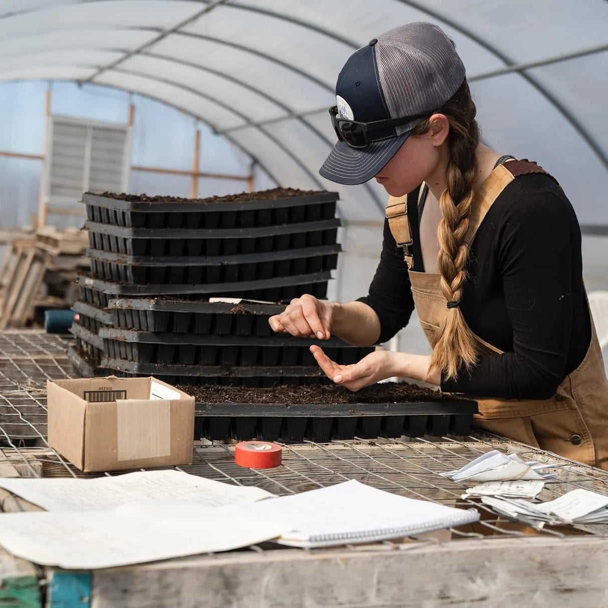 Rektangulär växtskål – såddskål för effektiv groning och tillväxt av plantor Carvallo