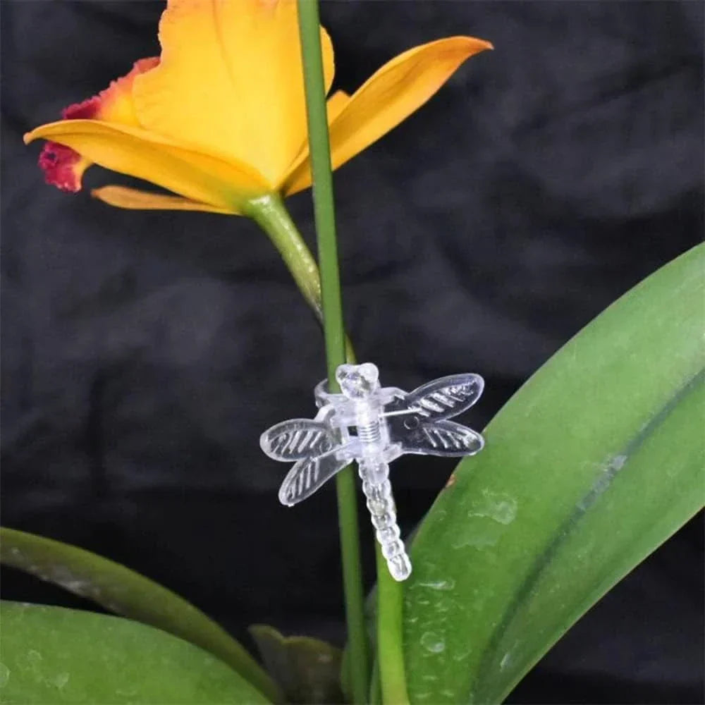 Carvallo Florifix Stängelklämmor för klätterväxter | Osynliga växtstöd | 100 stycken | Transparent design Carvallo