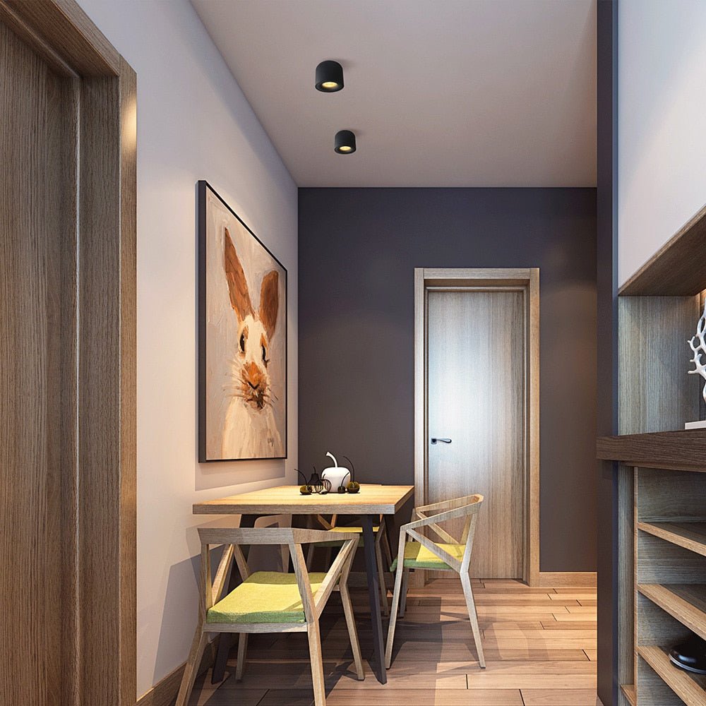 Diapole | Klassiska nordiska LED-spots för mångsidiga belysningslösningar i hemmet Carvallo