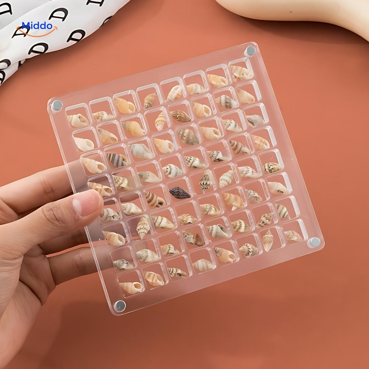 Displaycase: den ultimata displaylösningen för snäckor och annat MILA Sverige