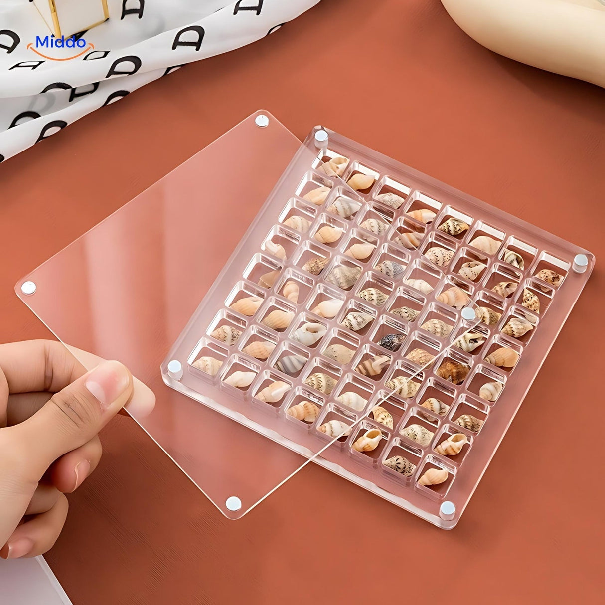 Displaycase: den ultimata displaylösningen för snäckor och annat MILA Sverige