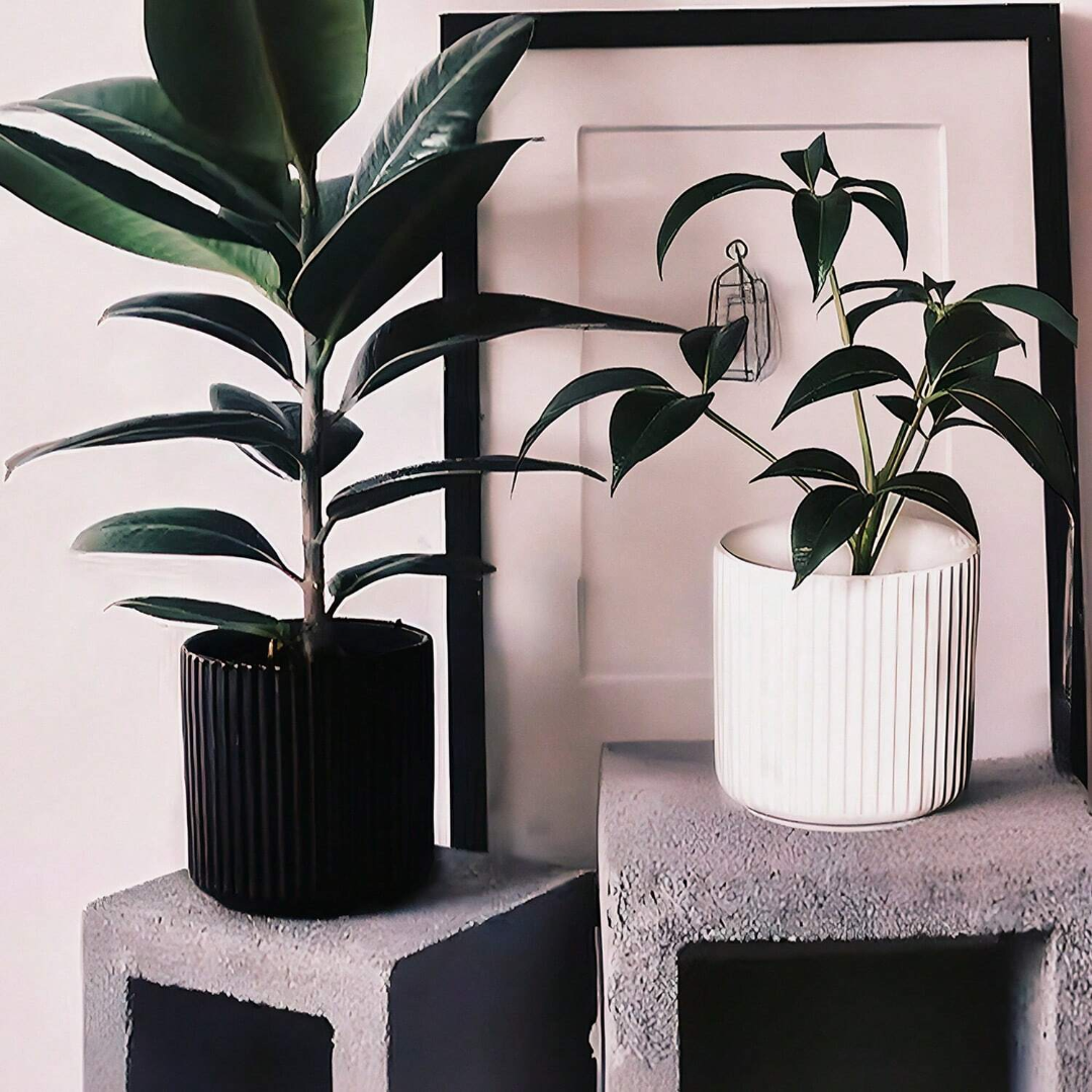 Carvallo Blomkruka | Modern design | Inomhus & Utomhus | Väderbeständig & Robust Carvallo