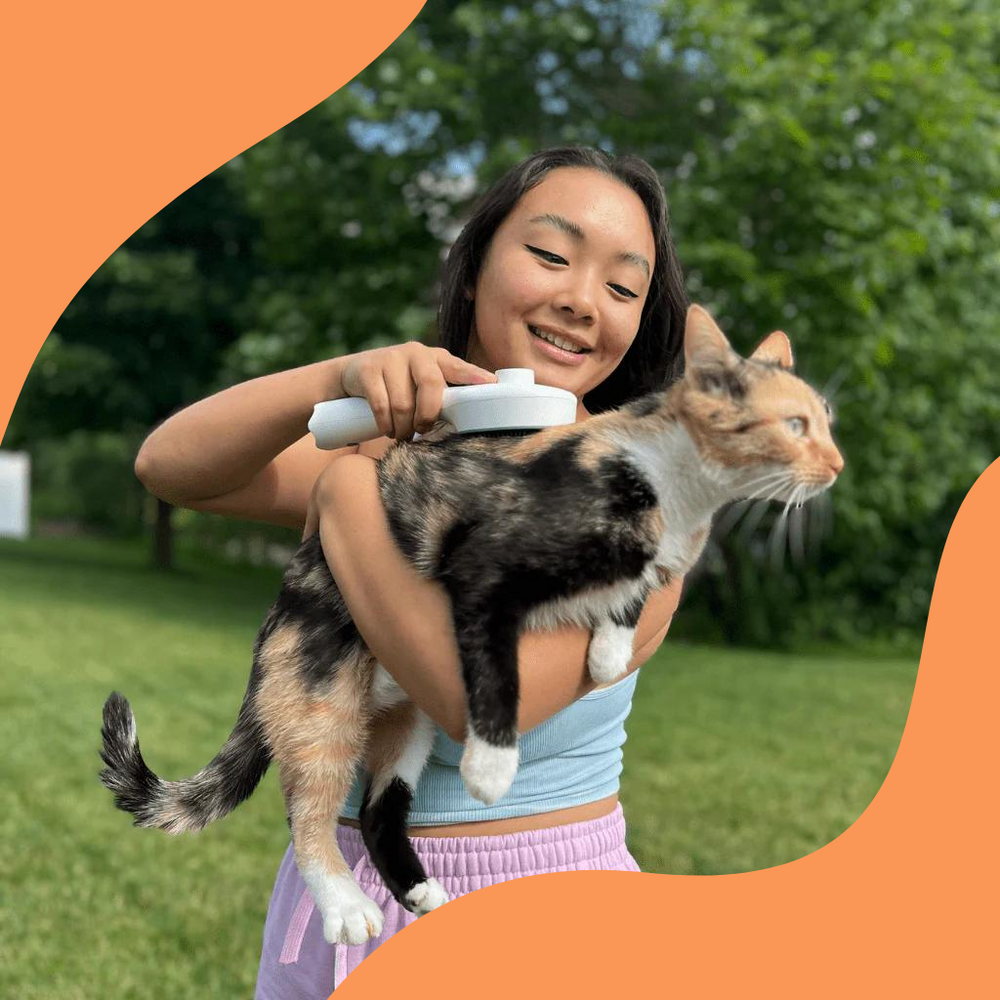 Carvallo – Den smarta borsten mot fästingar & smuts! Carvallo