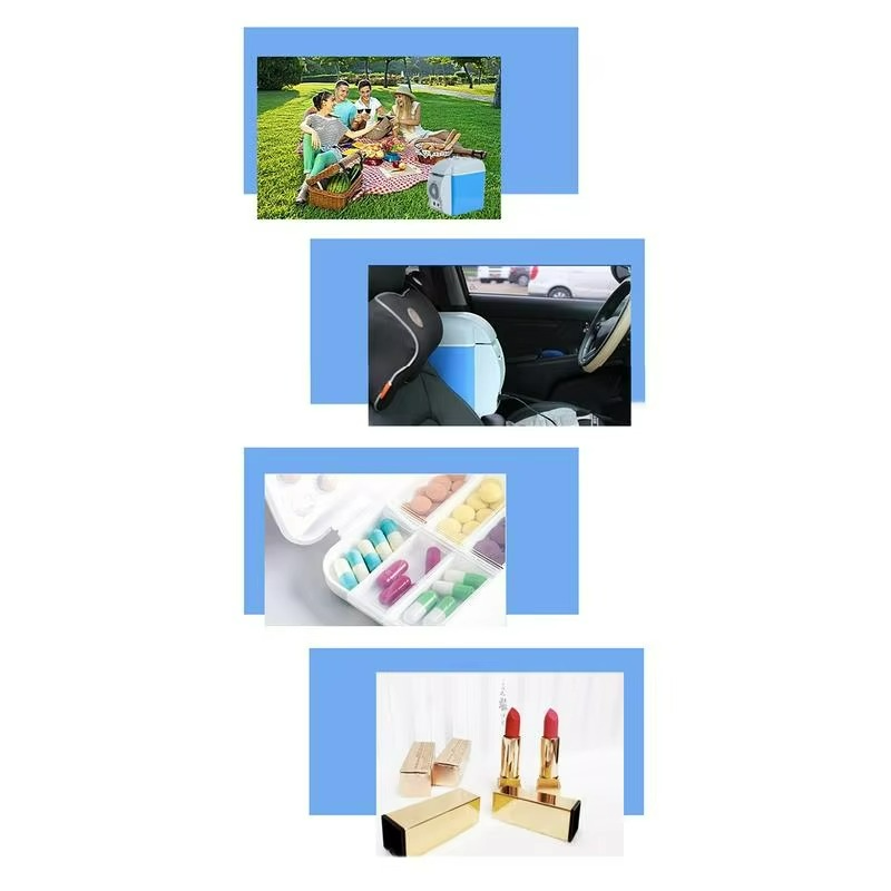 2-i-1-kylare och -värmare för bilen – Bärbar termoelektrisk låda med smart temperaturkontroll MILA Sverige