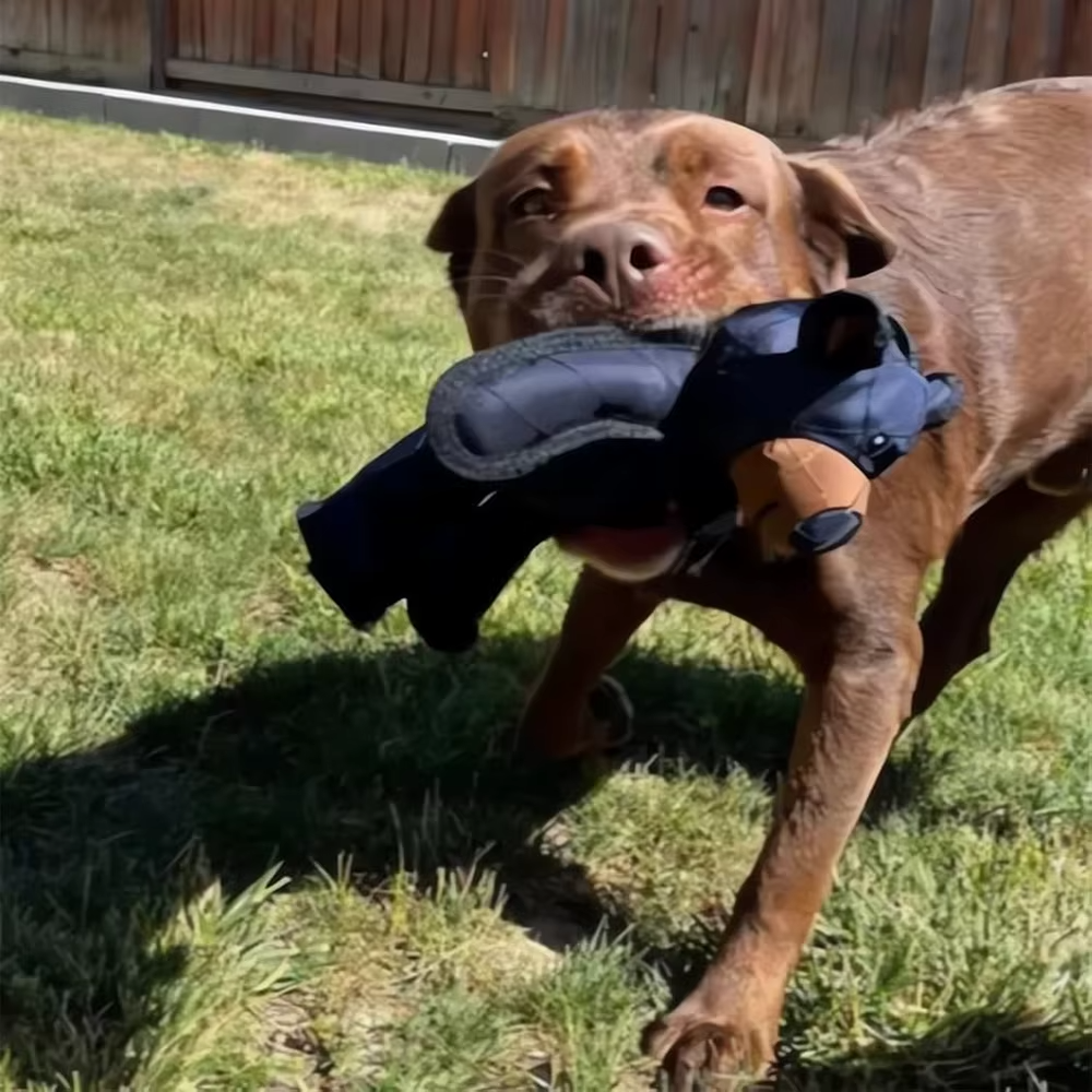 Hållbar tuggleksak för hundar-Hemnix-Hemnix