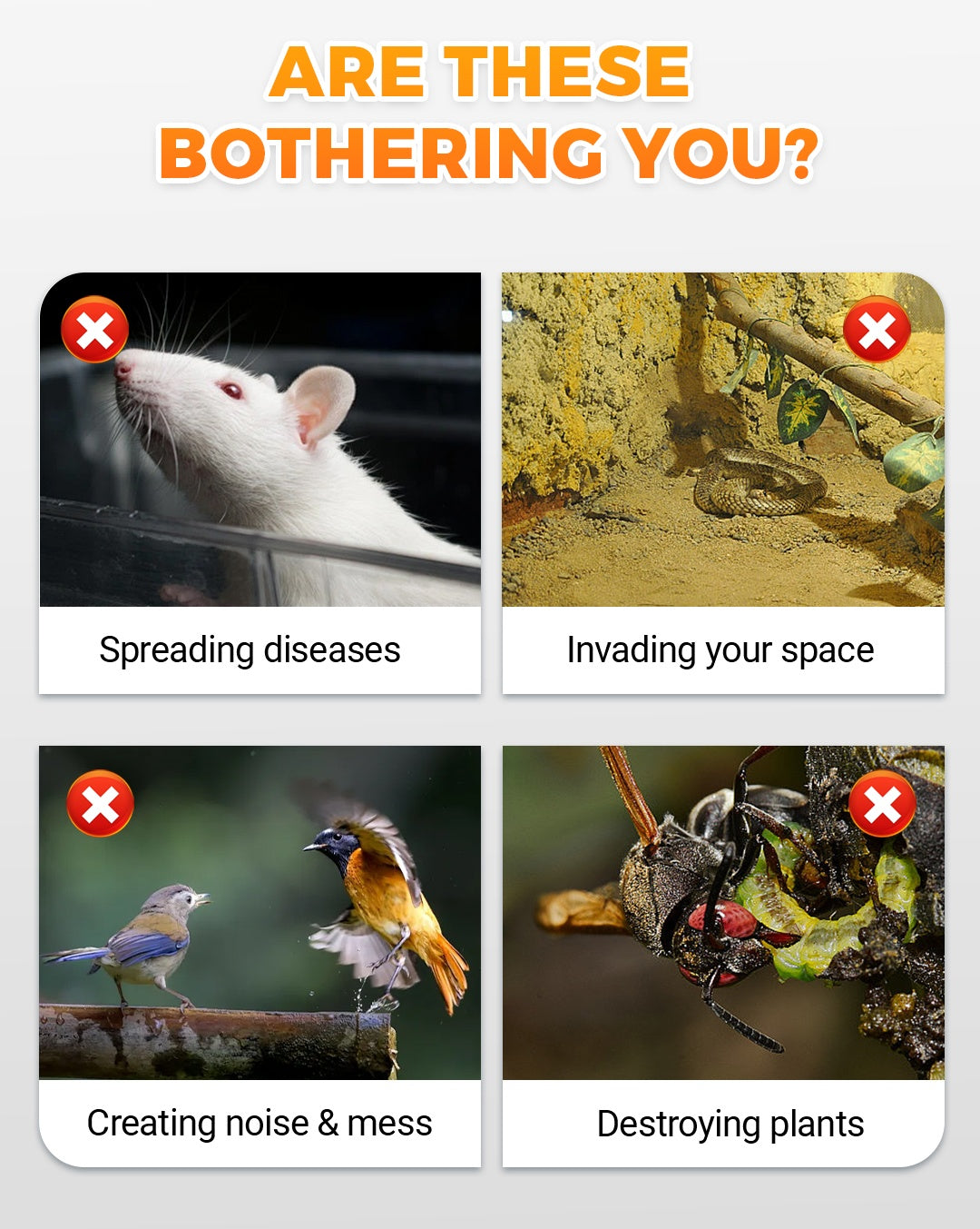 Carvallo | VibraGreen – Ro för din trädgård Carvallo