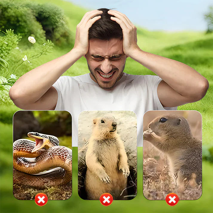 Carvallo | VibraGreen – Ro för din trädgård Carvallo