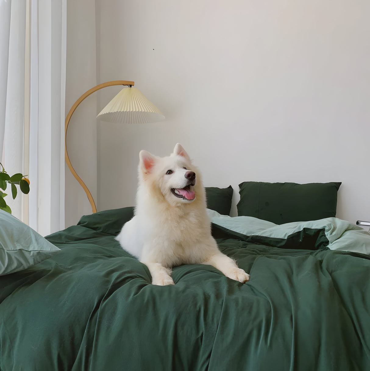 EtherealNest Set - Elegant duo sängkläder set Carvallo