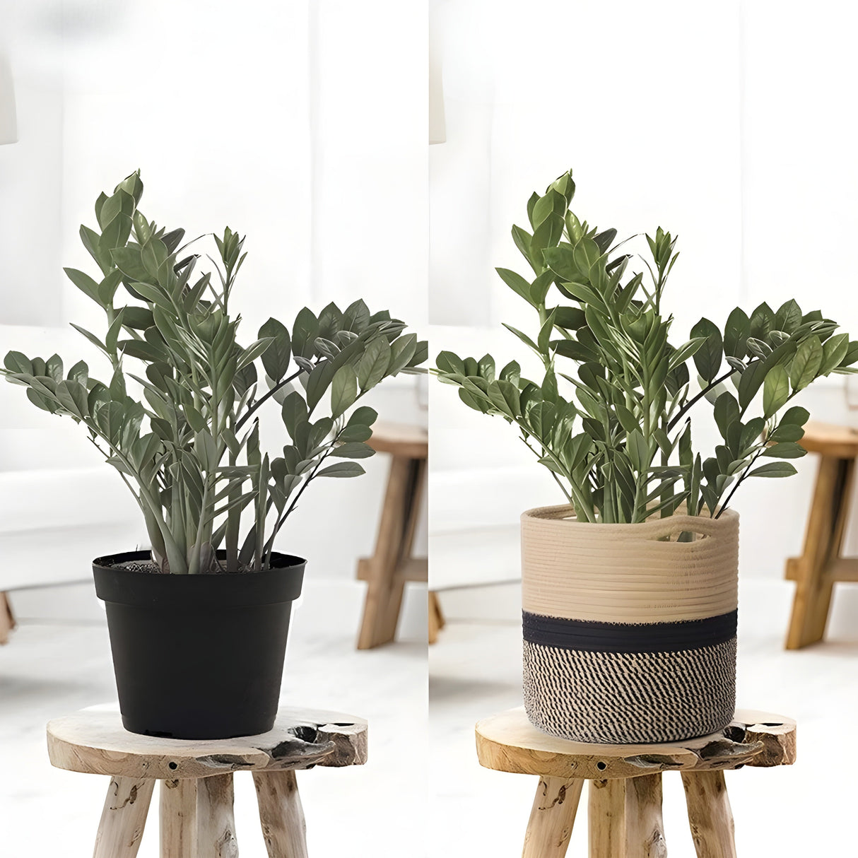 CottonCraft Korg - Fällbar Flätad Seilkorg Carvallo