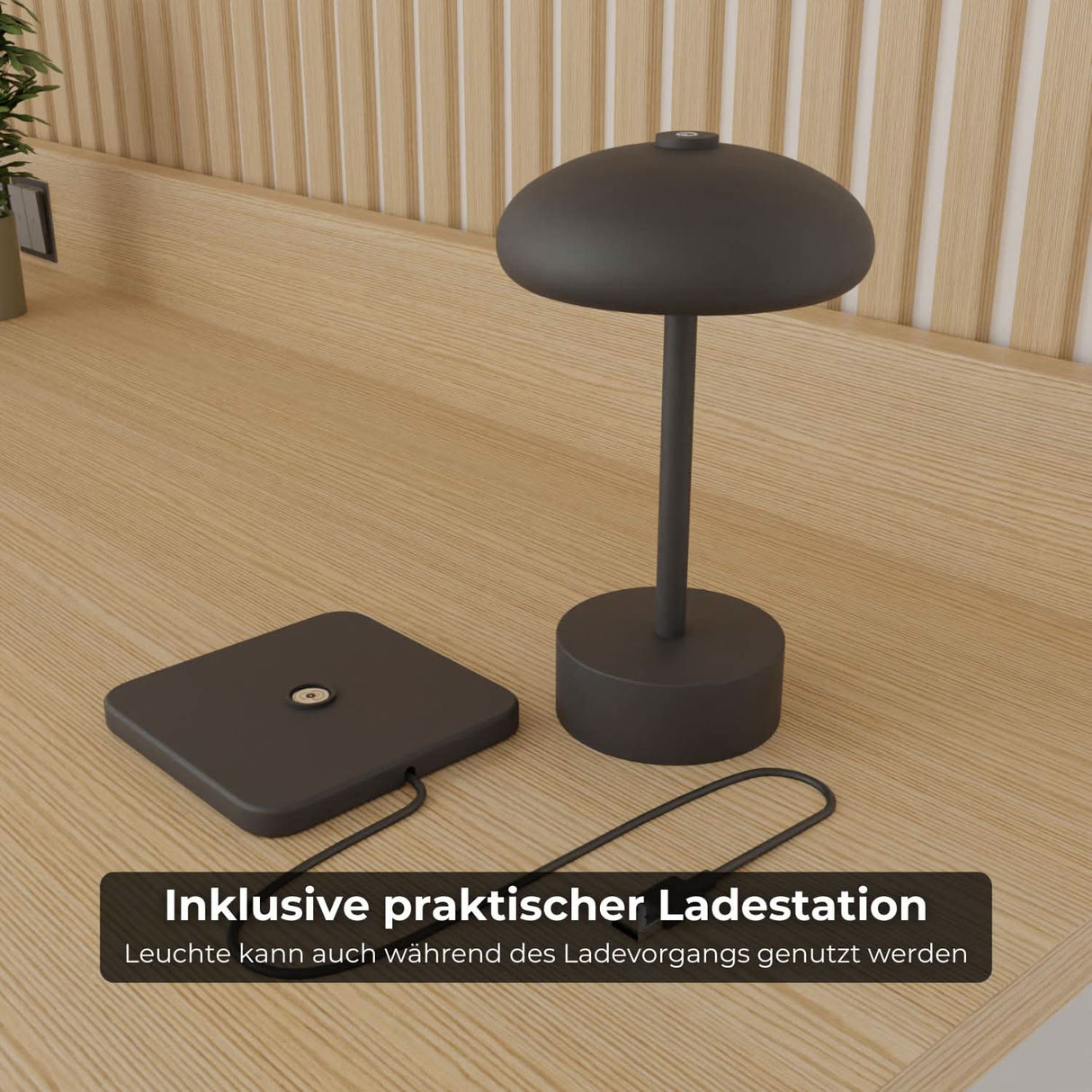 Elario Bordsbelysning med Akku Carvallo