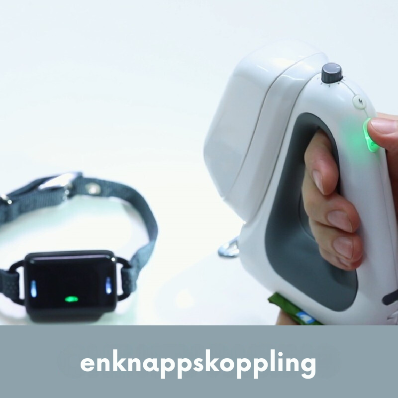 Smart hundkoppel+ träningshalsband 5-i-1-leksaker-VaruZ-Hemnix