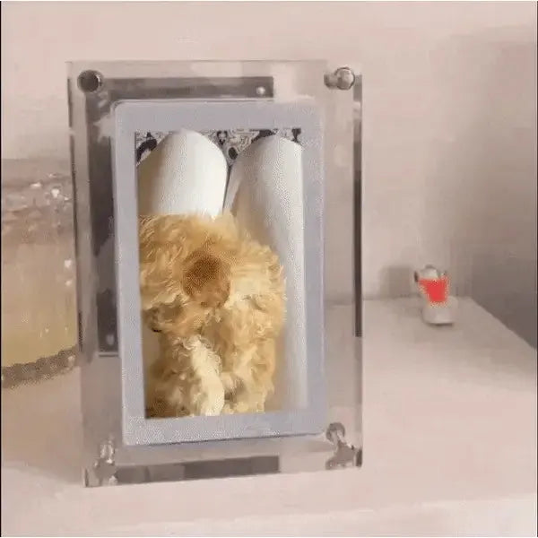 Live DigiFrame - Akryl Digital Fotoram med högtalare och Live Motion Display Carvallo