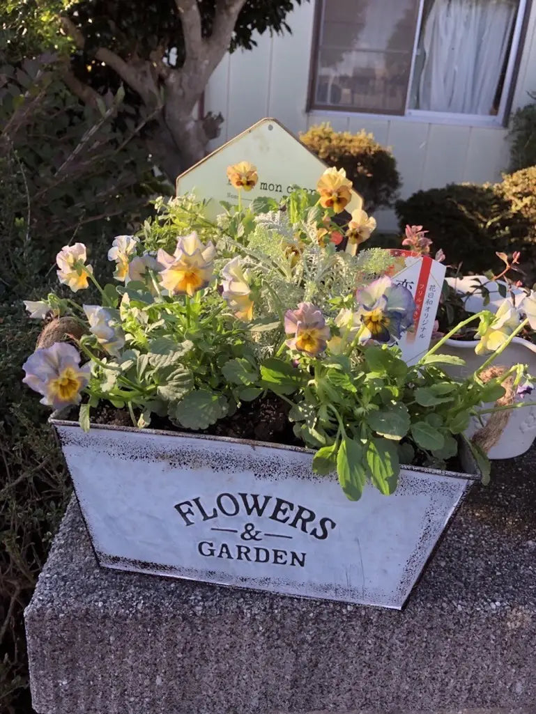 Dekorativ blomster- och trädgårdsbehållare i metall med hampasnörehandtag Carvallo