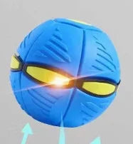 Pawelux Interaktiv Doggy Disc Boll - Säker, Studsig Hämta Leksak för Hundar Carvallo